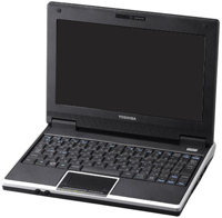Toshiba NB100-11G Laptop